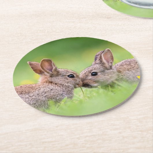最も可愛い赤ん坊の動物 |バニーキス ラウンドペーパーコースター (アングル)