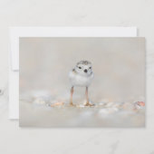 最も可愛い赤ん坊の動物 |パイピングプローバーシック サンキューカード (正面)