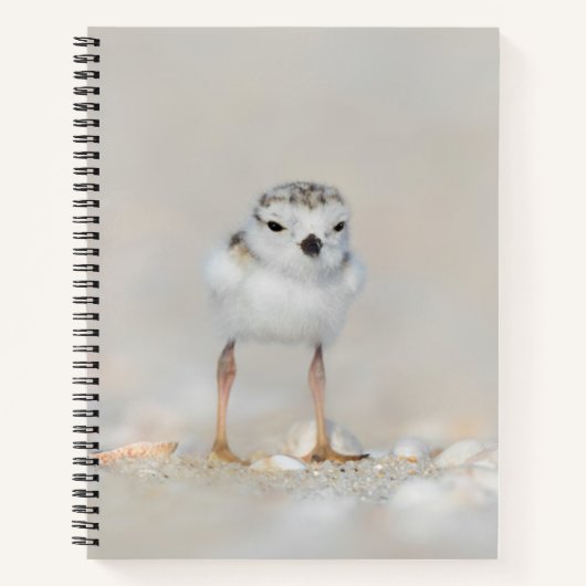 最も可愛い赤ん坊の動物 |パイピングプローバーシック ノートブック (正面)