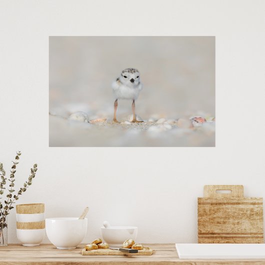 最も可愛い赤ん坊の動物 |パイピングプローバーシック ポスター (キッチン)