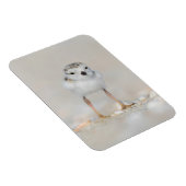 最も可愛い赤ん坊の動物 |パイピングプローバーシック マグネット (右側)