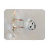 最も可愛い赤ん坊の動物 |パイピングプローバーシック マグネット (横)