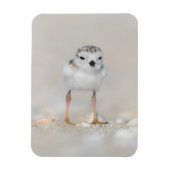 最も可愛い赤ん坊の動物 |パイピングプローバーシック マグネット (縦)