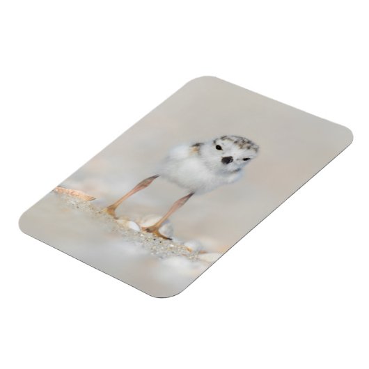 最も可愛い赤ん坊の動物 |パイピングプローバーシック マグネット (左側)