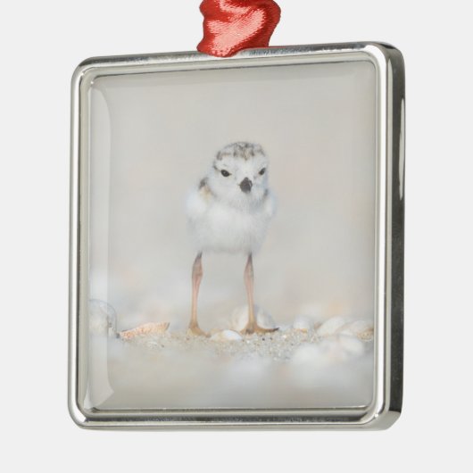 最も可愛い赤ん坊の動物 |パイピングプローバーシック メタルオーナメント (左)