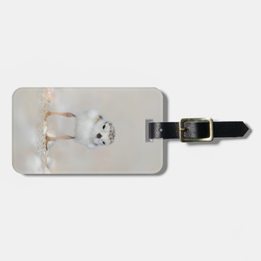 最も可愛い赤ん坊の動物 |パイピングプローバーシック ラゲッジタグ (正面横)