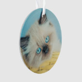 最も可愛い赤ん坊の動物 |ヒマラヤのシールポイント猫 オーナメント (正面)