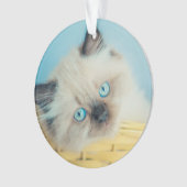 最も可愛い赤ん坊の動物 |ヒマラヤのシールポイント猫 オーナメント (正面)