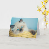 最も可愛い赤ん坊の動物 |ヒマラヤのシールポイント猫 カード (黄色い花)
