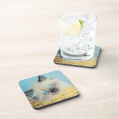 最も可愛い赤ん坊の動物 |ヒマラヤのシールポイント猫 コースター (右側)