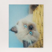 最も可愛い赤ん坊の動物 |ヒマラヤのシールポイント猫 ジグソーパズル (縦)