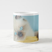 最も可愛い赤ん坊の動物 |ヒマラヤのシールポイント猫 ジャンボコーヒーマグカップ (正面)