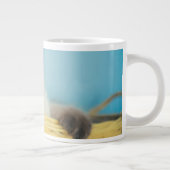 最も可愛い赤ん坊の動物 |ヒマラヤのシールポイント猫 ジャンボコーヒーマグカップ (右)