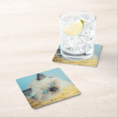 最も可愛い赤ん坊の動物 |ヒマラヤのシールポイント猫 スクエアペーパーコースター (インサイチュ)