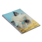 最も可愛い赤ん坊の動物 |ヒマラヤのシールポイント猫 ノートブック (右側)