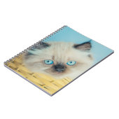 最も可愛い赤ん坊の動物 |ヒマラヤのシールポイント猫 ノートブック (左側)