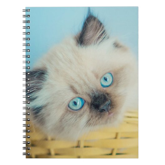 最も可愛い赤ん坊の動物 |ヒマラヤのシールポイント猫 ノートブック (正面)