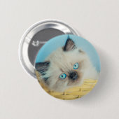 最も可愛い赤ん坊の動物 |ヒマラヤのシールポイント猫 缶バッジ (正面&裏面)