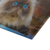 最も可愛い赤ん坊の動物 ヒマラヤ猫|ヒマラヤ カッティングボード (角)