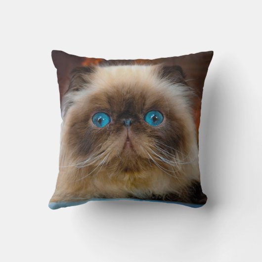 最も可愛い赤ん坊の動物 ヒマラヤ猫|ヒマラヤ クッション (裏面)