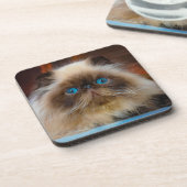 最も可愛い赤ん坊の動物 ヒマラヤ猫|ヒマラヤ コースター (左側)