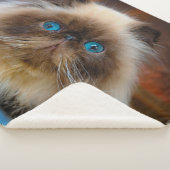 最も可愛い赤ん坊の動物 ヒマラヤ猫|ヒマラヤ シェルパブランケット (3/4)