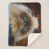 最も可愛い赤ん坊の動物 ヒマラヤ猫|ヒマラヤ シェルパブランケット (正面)