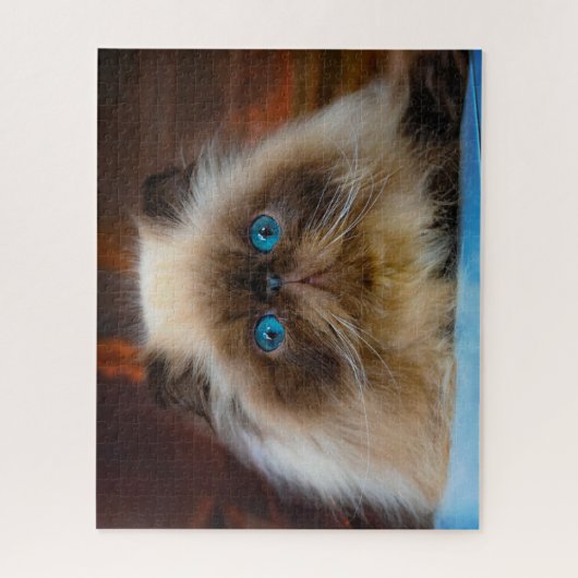 最も可愛い赤ん坊の動物 ヒマラヤ猫|ヒマラヤ ジグソーパズル (縦)