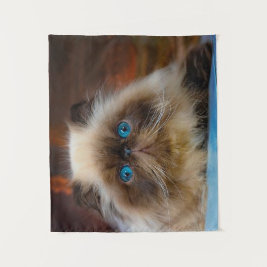 最も可愛い赤ん坊の動物 ヒマラヤ猫|ヒマラヤ タペストリー (正面)