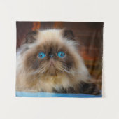 最も可愛い赤ん坊の動物 ヒマラヤ猫|ヒマラヤ タペストリー (正面(横))