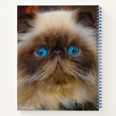 最も可愛い赤ん坊の動物 ヒマラヤ猫|ヒマラヤ ノートブック (裏面)