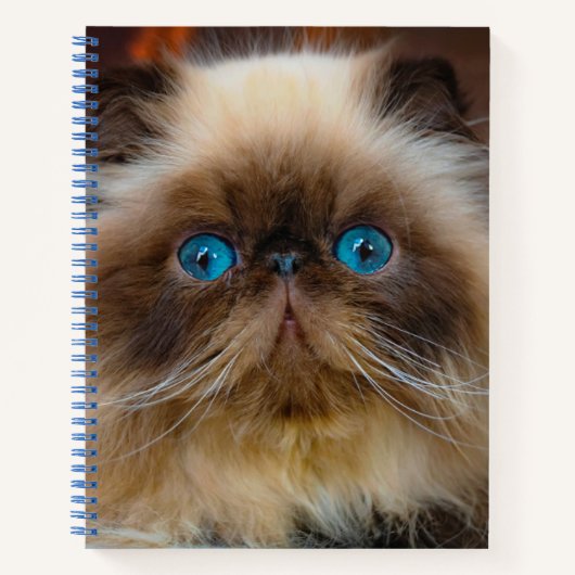 最も可愛い赤ん坊の動物 ヒマラヤ猫|ヒマラヤ ノートブック (正面)