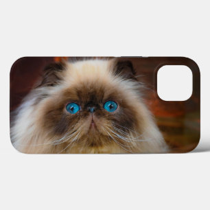 最も可愛い赤ん坊の動物 ヒマラヤ猫 ヒマラヤ iPhone 13ケース