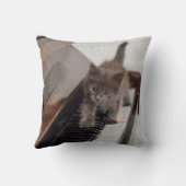 最も可愛い赤ん坊の動物 |ピアノの子猫 クッション (裏面)