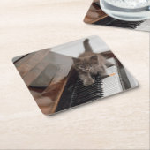 最も可愛い赤ん坊の動物 |ピアノの子猫 スクエアペーパーコースター (アングル)