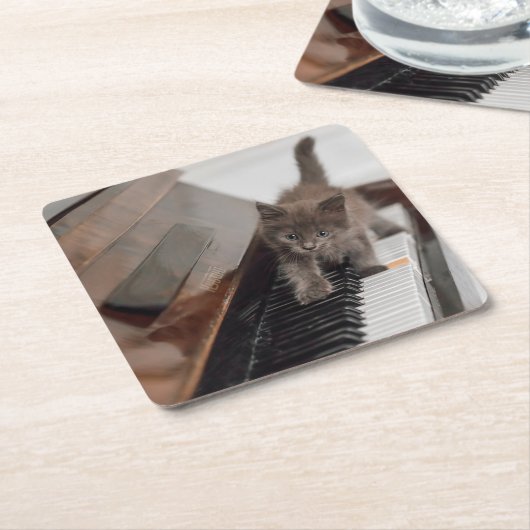 最も可愛い赤ん坊の動物 |ピアノの子猫 スクエアペーパーコースター (アングル)