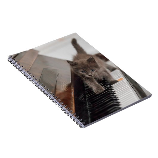 最も可愛い赤ん坊の動物 |ピアノの子猫 ノートブック (右側)