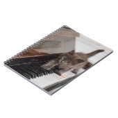 最も可愛い赤ん坊の動物 |ピアノの子猫 ノートブック (左側)