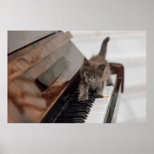 最も可愛い赤ん坊の動物 ピアノの子猫 ポスター