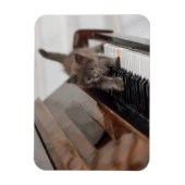 最も可愛い赤ん坊の動物 |ピアノの子猫 マグネット (縦)