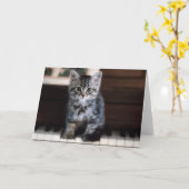 最も可愛い赤ん坊の動物 |ピアノ鍵の子猫 カード (黄色い花)