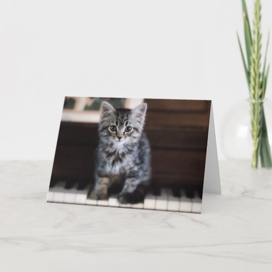 最も可愛い赤ん坊の動物 |ピアノ鍵の子猫 カード (正面)