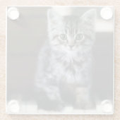 最も可愛い赤ん坊の動物 |ピアノ鍵の子猫 ガラスコースター (裏面)