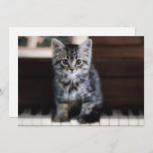 最も可愛い赤ん坊の動物 |ピアノ鍵の子猫 サンキューカード (正面/裏面)