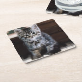 最も可愛い赤ん坊の動物 |ピアノ鍵の子猫 スクエアペーパーコースター (アングル)