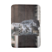 最も可愛い赤ん坊の動物 |ピアノ鍵の子猫 バスマット (正面縦)