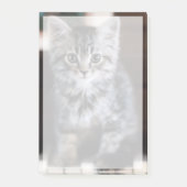 最も可愛い赤ん坊の動物 |ピアノ鍵の子猫 ポストイット (正面)