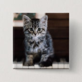 最も可愛い赤ん坊の動物 |ピアノ鍵の子猫 缶バッジ (正面)