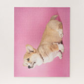 最も可愛い赤ん坊の動物 |ピンクコルギパピー ジグソーパズル (縦)