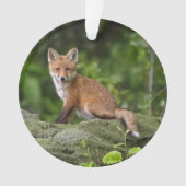 最も可愛い赤ん坊の動物 |フォキシスマイル オーナメント (正面)